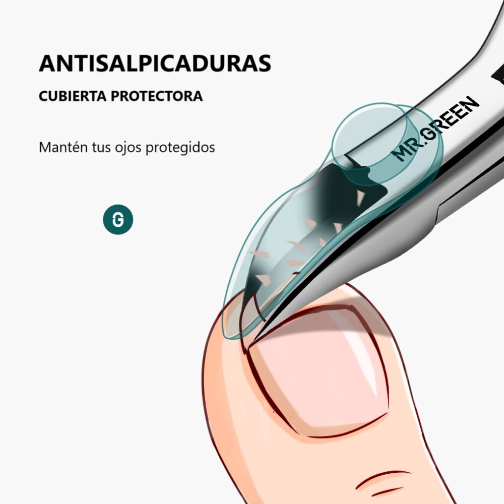 español 8 web