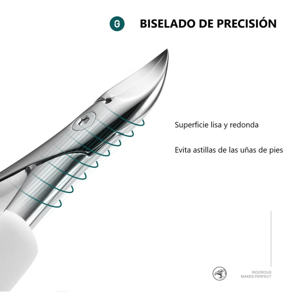 español5 WEB