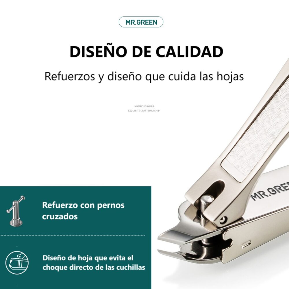 español6 web