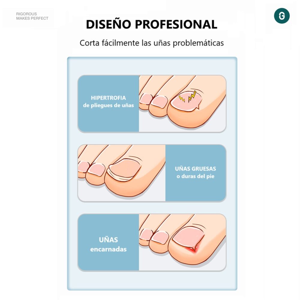 español6 web